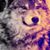 Joey Childs's profile image