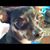 Donna R Bailey Bussy's profile image