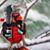 Nancy Ann Newhouse's profile image