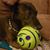 Kimberly Peck Gagne's profile image