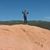 Scott Lingelbach's profile image