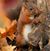 Monica Pruett-Whitehurst's profile image