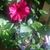 Mary Jo Carol Byk's profile image