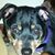 Cynthia Wilkins's profile image