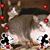 Paulette Patterson's profile image