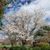 Rhonda Woosley's profile image