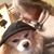 Leatrice Bard Tolls's profile image