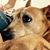 Sarah Deane's profile image