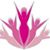 Nadirah R Bray's profile image