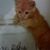Denise Moody's profile image
