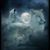 Brenda Lynn Newton's profile image