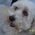 Hollyandsteve Willet's profile image