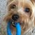 Cristina Agema's profile image