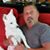 Richard Biondo's profile image