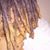 Gutta Mane Zay's profile image