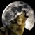 Dez Blanco's profile image