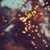 Heidi Sunshine Klinger's profile image