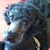 Joyce Hansbearry's profile image