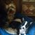Virginia Haywood's profile image