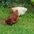 Fiona McAuliffe's profile image