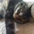 Georgette Kostopoulos's profile image