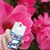 Dena K. Greenway's profile image