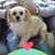 Sandra Trueworthy's profile image