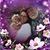Cheryl Grim's profile image