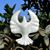 Cindy Cornett Seigle's profile image