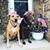 Randi Nelson's profile image
