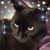 Shannon BG's profile image