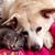 Emily Besler's profile image