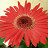 KarlB's profile image
