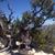 Emily Neer's profile image