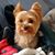 Greg Baucom's profile image