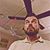 Stephen Capecci's profile image