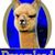 David R McLeish's profile image