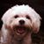 Tama Rudow's profile image
