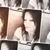 Pamela Johnson-Goree's profile image