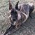 Gina Trout's profile image