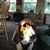 Joan Schleter Kueny's profile image
