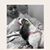Angel R. Arredondo's profile image