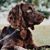 Dawn Edwards Jenkins's profile image