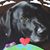 Buddy Becker's profile image