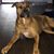 Karen Glosemeyer's profile image