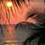 Clifford Hempel's profile image