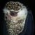 Joni Walker's profile image