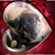 Julie Brown's profile image