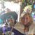 Karen Knapp's profile image