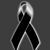 Luis Rivera's profile image